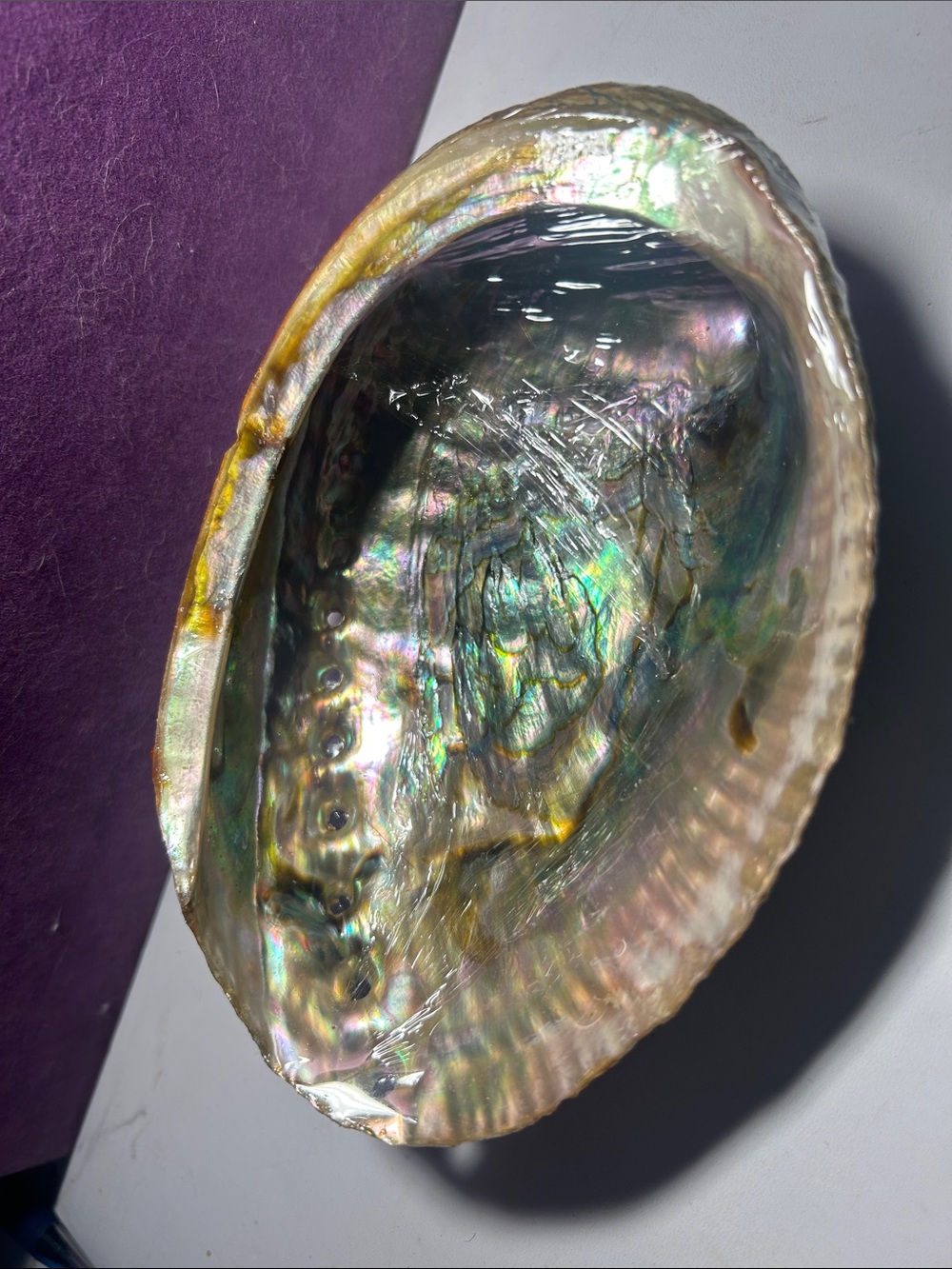Abalone shell for smudging or as a beautiful coffee table accent! - Picture 2 of 5